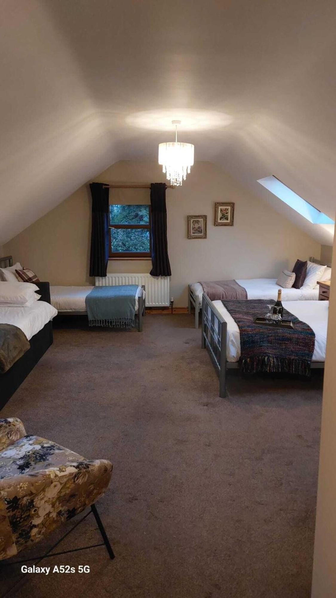 Dunhill Cottage B&B Hillsborough Rom bilde